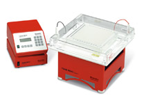 Temperature Gradient Gel Electrophoresis