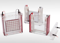 Electrophoresis and Blotting