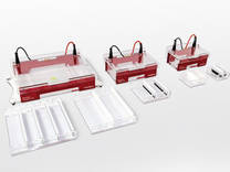 Biometra Compact XS/S, M and L/XL