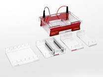 Biometra Compact Multi-Wide