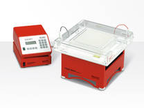 Biometra TGGE and TGGE Maxi System