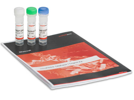 innuPREP DNase I Digest