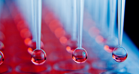 Excellent pipetting results require excellent tips. Our tips have been carefully designed according to exact specifications of pipetting instruments. Rigorous quality control inspections during manufacturing and packaging ensure consistently high quality - guarantees highest precision.