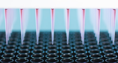 From stand-alone pipettors up to fully customized solutions - reliable, precise and user-friendly automated systems for a wide range of application and throughput needs in Life Sciences and Drug Discovery research.