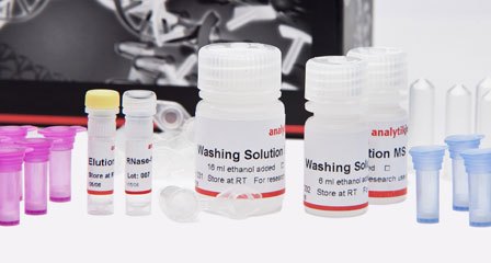 Isolation of Total RNA