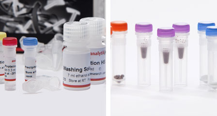 Nucleic Acid Extraction Using a Homogenizer