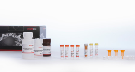 Epigenomic - solutions and kits