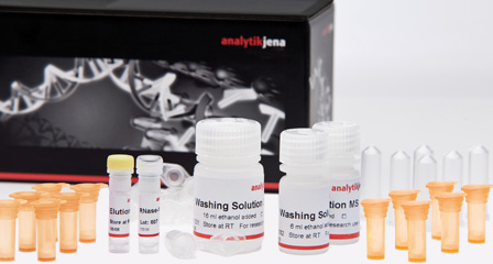 Isolation of Plasmid DNA