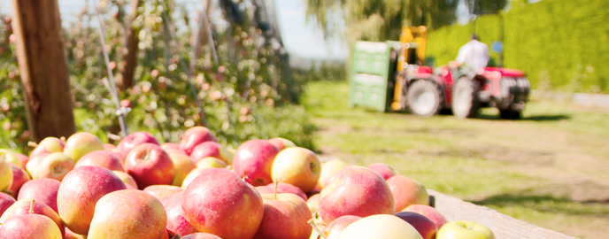 « La production alimentaire s’est industrialisée et le commerce et la distribution se sont mondialisés ...
